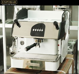 expobar愛(ài)寶8009單頭電控半自動(dòng)咖啡機(jī)